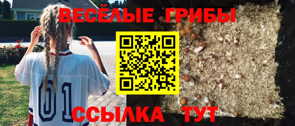 Псилоцибиновые грибы мухоморы Аргун