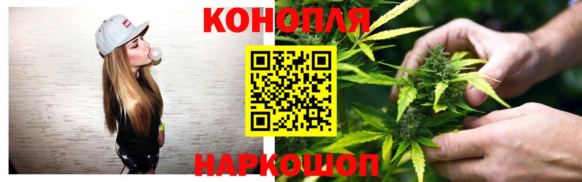 Бошки Шишки Amnesia Аргун